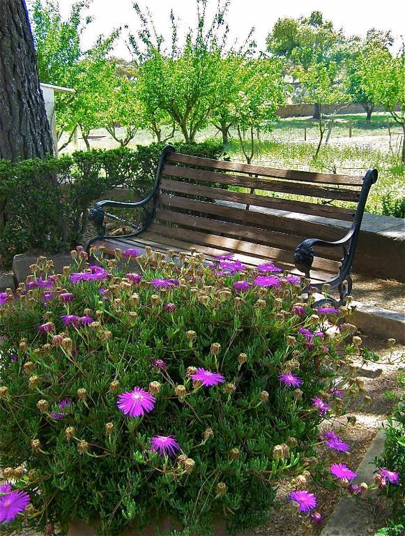 דירות Póvoa e Meadas Quinta Da Bela Vista מראה חיצוני תמונה